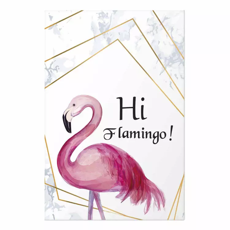 ¡Hola, fenicottero!: ave rosa e inscripciones