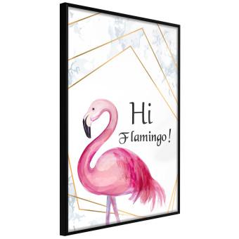 Hi Flamingo! [Poster]