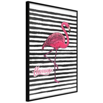 Black Stripes and Flamingo [Poster]