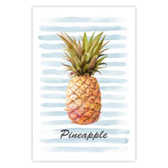 Cartel Pineapple and Stripes [Poster]