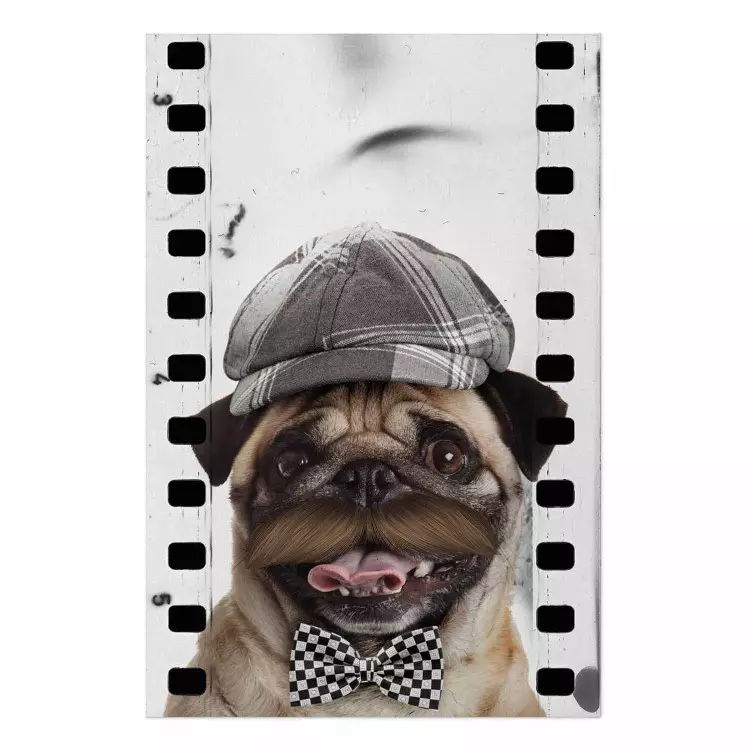 Set de poster Carlinos con sombrero - perro con lazo