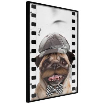 Set de poster Carlinos con sombrero - perro con lazo