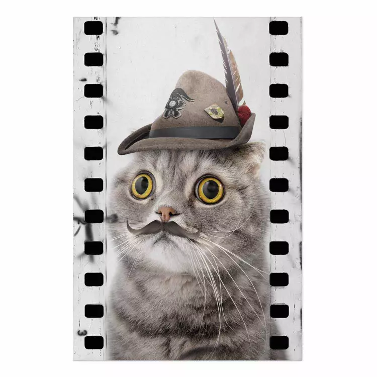 El gato con el sombrero - animal divertido