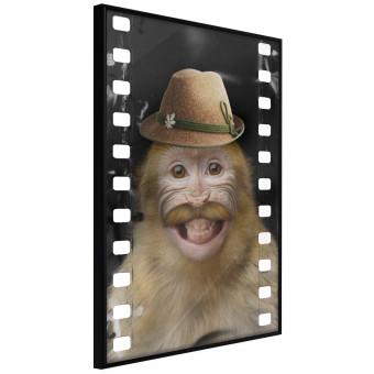 Mono con sombrero - mono sonriente