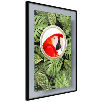 Set de poster Loro en la jungla - ave colorida entre hojas tropicales