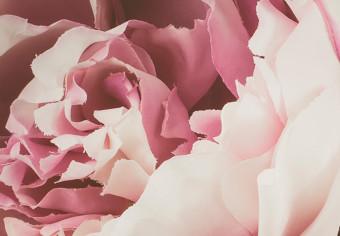 Set de poster Peonías rosadas: una composición vegetal con flores de colores pastel