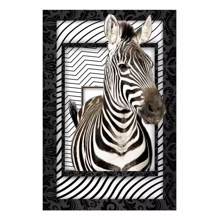 Zebra [Poster]