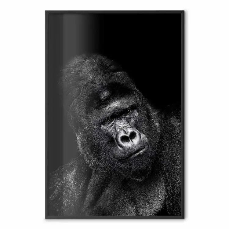 Póster Gorila de montaña - retrato de mono africano para pared - tienda ...
