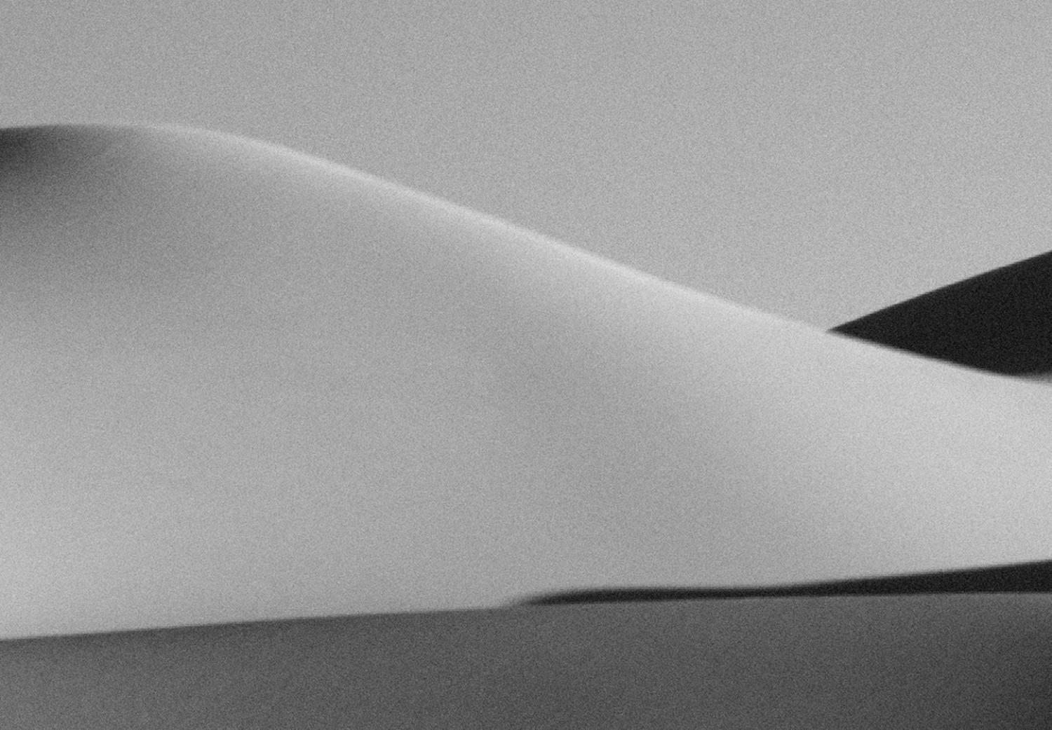 Cartel Desert Dunes [Poster]