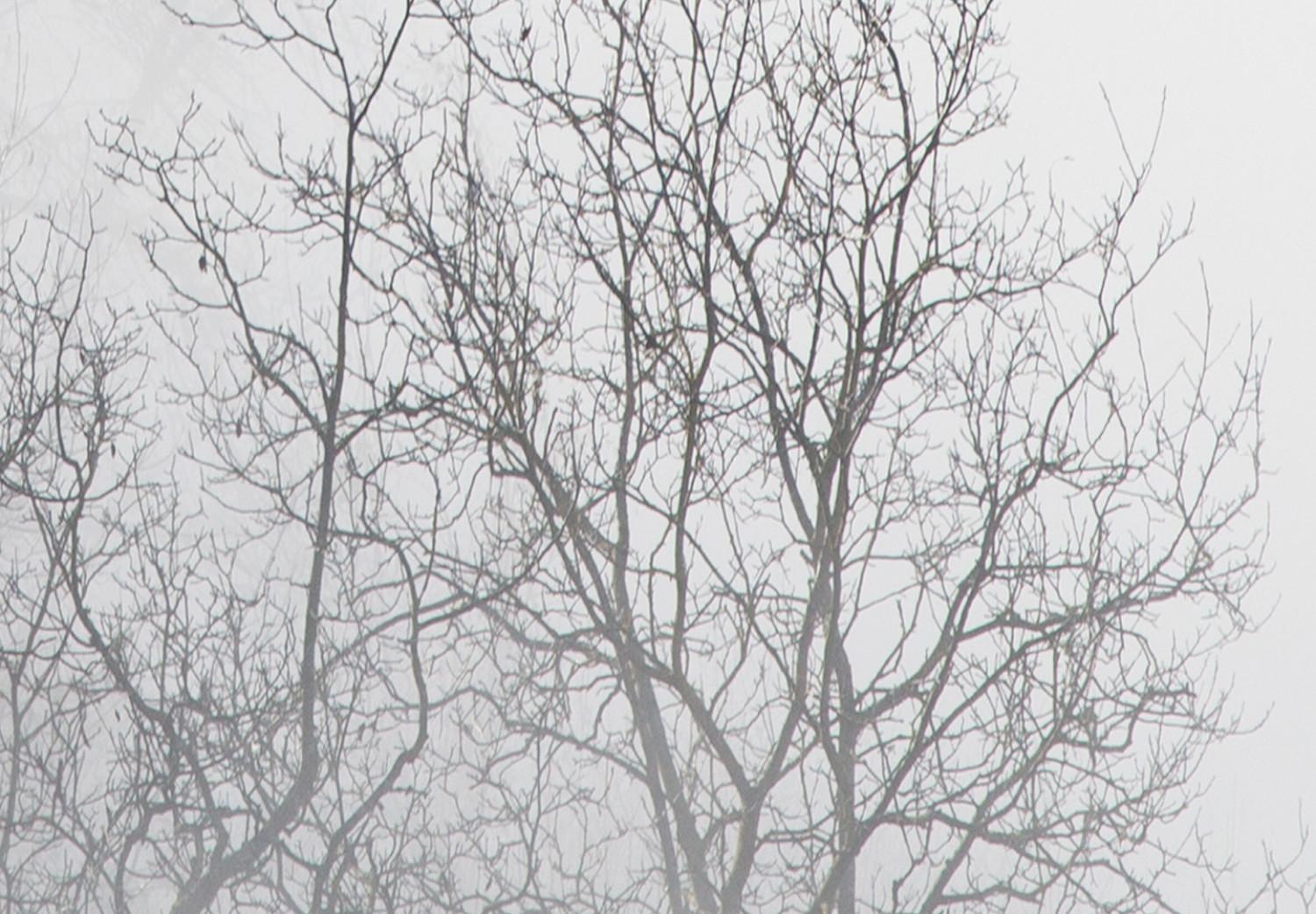 Cuadro decorativo Trees In The Fog (1 Part) Vertical