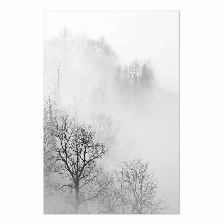 Set de poster Árboles en la niebla - vista a un bosque