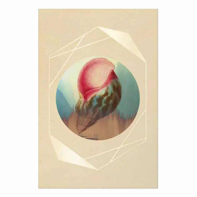 Poster Seashell [Poster]