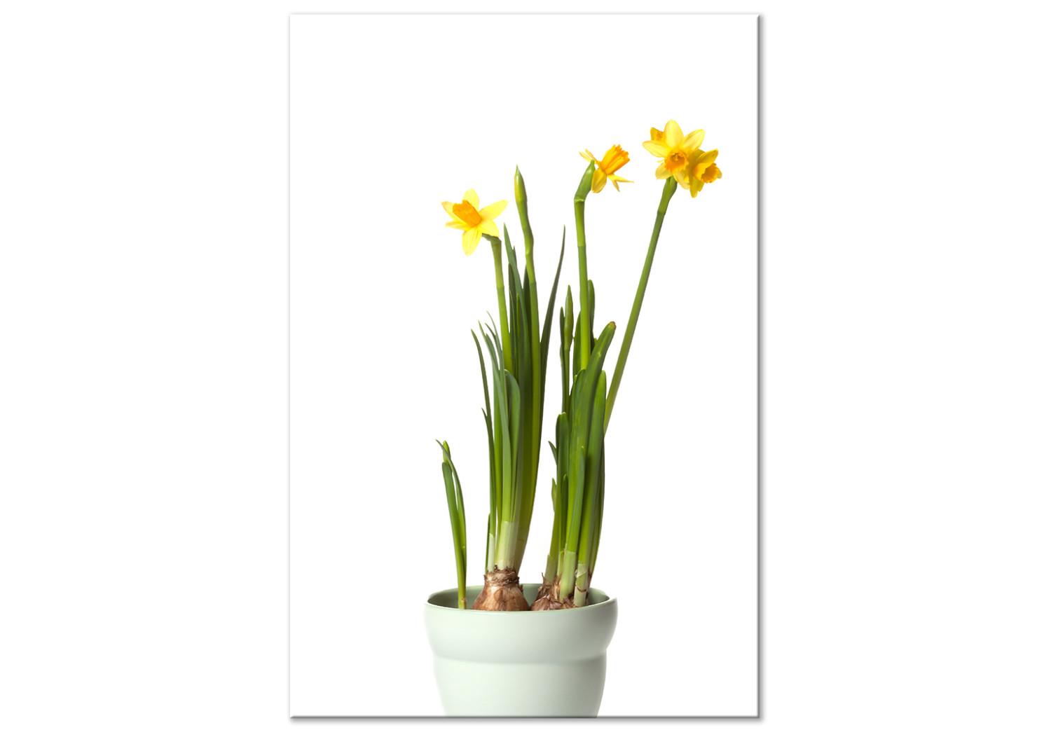 Cuadro decorativo Narcissus (1 Part) Vertical