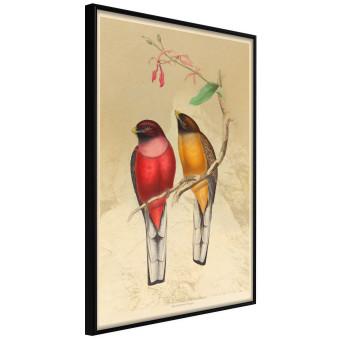 Birds Twig [Poster]