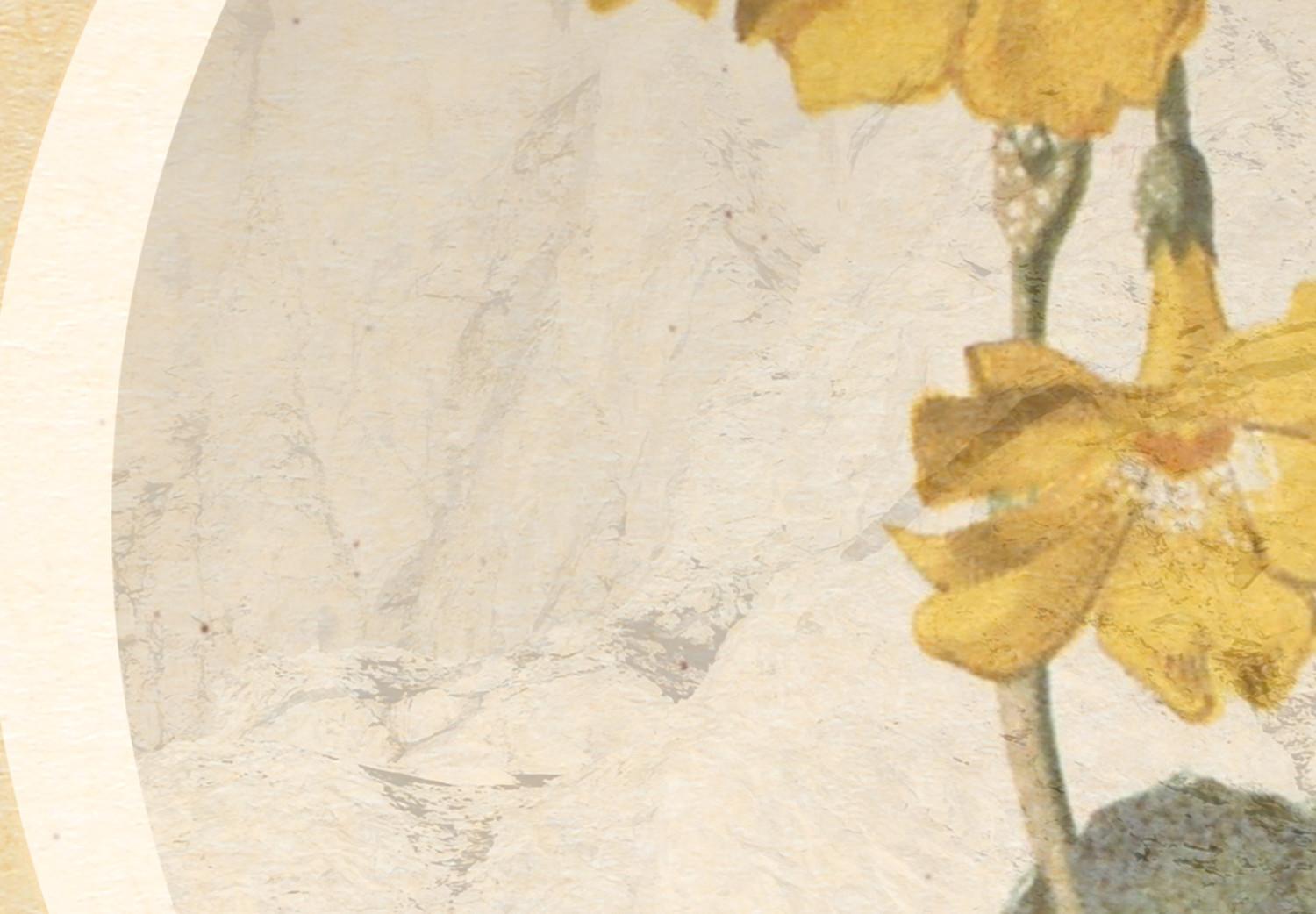 Póster Flor en círculo: vegetal fondo amarillo y oro