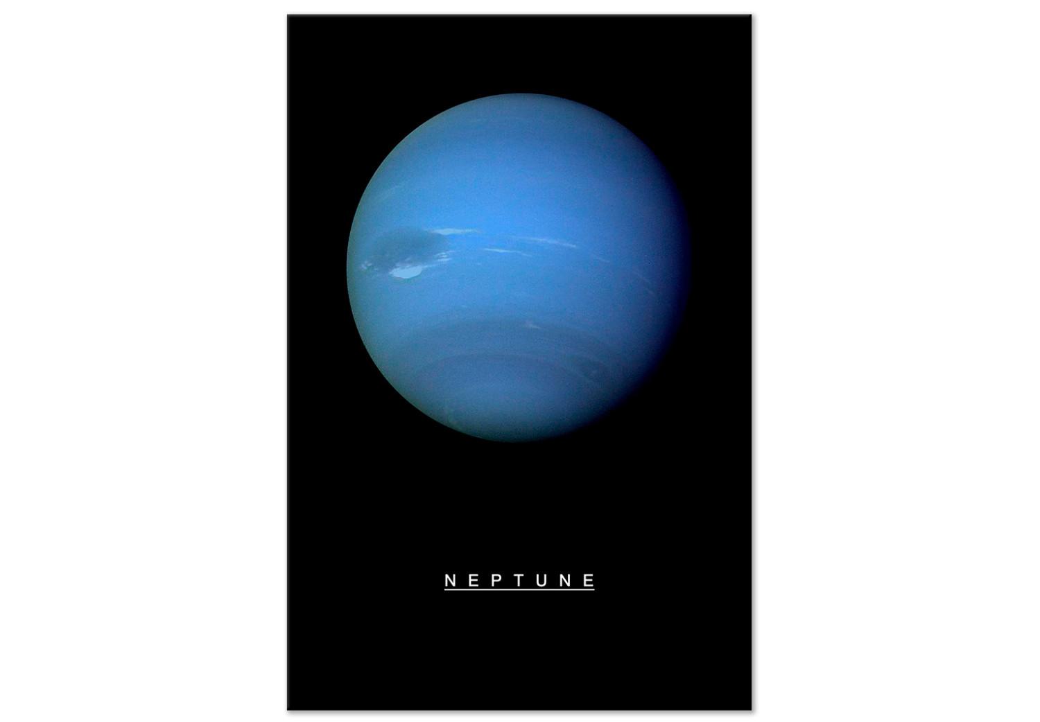 Cuadro Neptune (1 Part) Vertical