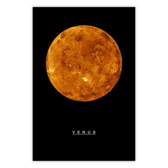 Póster Venus [Poster]
