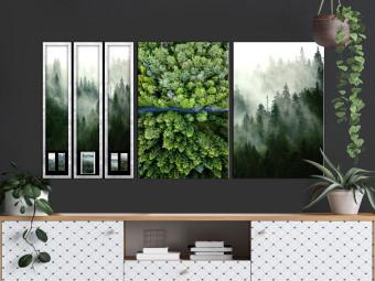 Cuadro moderno Forest (Collection)