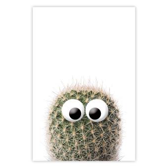 Póster Cactus ojos - planta espinosa, fondo simple