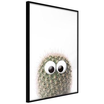 Cactus With Eyes [Poster]