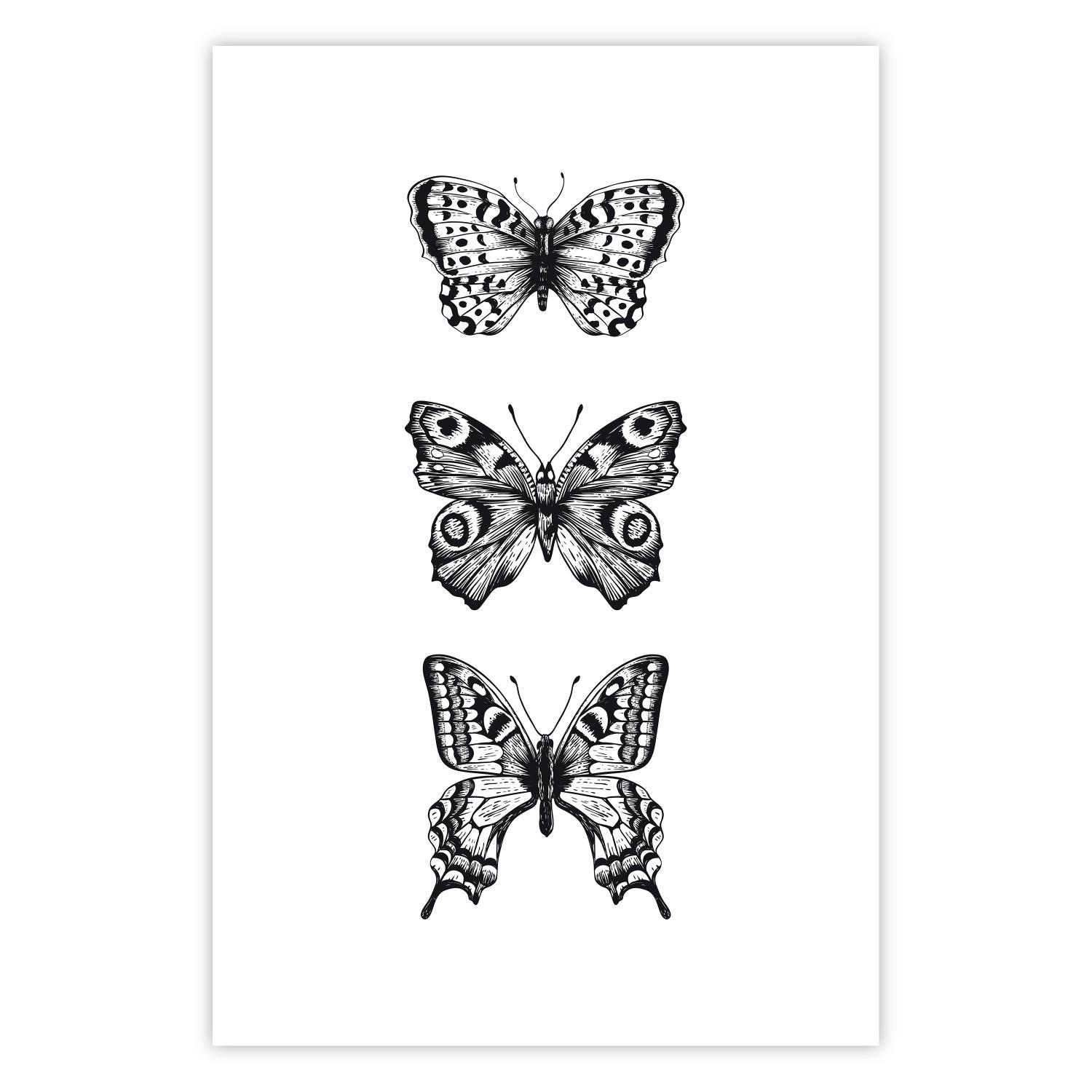 Poster Three Butterflies [Poster]