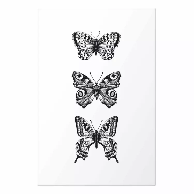 Poster Three Butterflies [Poster]