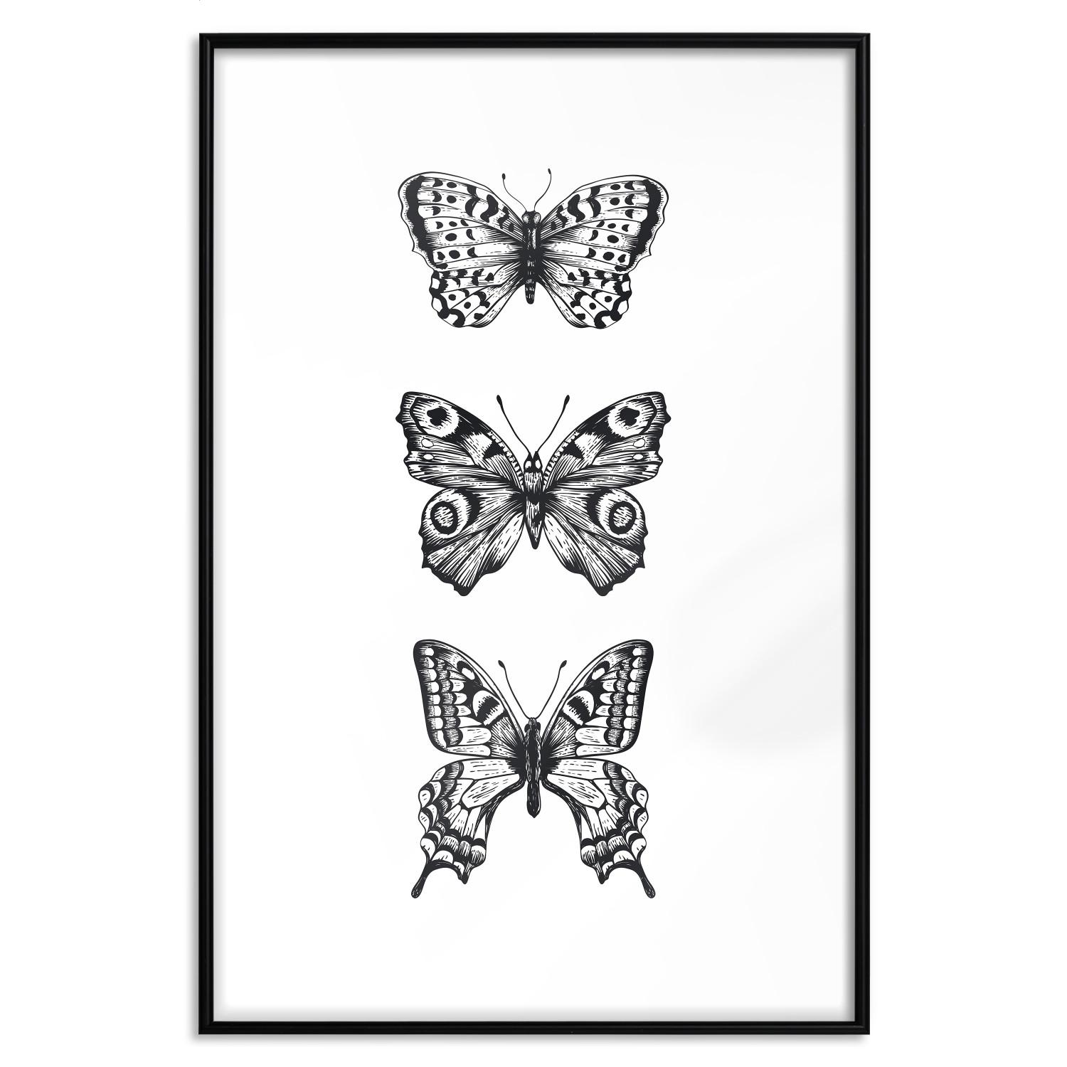 Set de poster Three Butterflies [Poster]