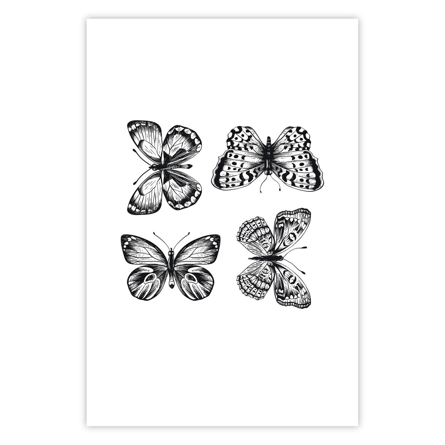 Cartel Four Butterflies [Poster]