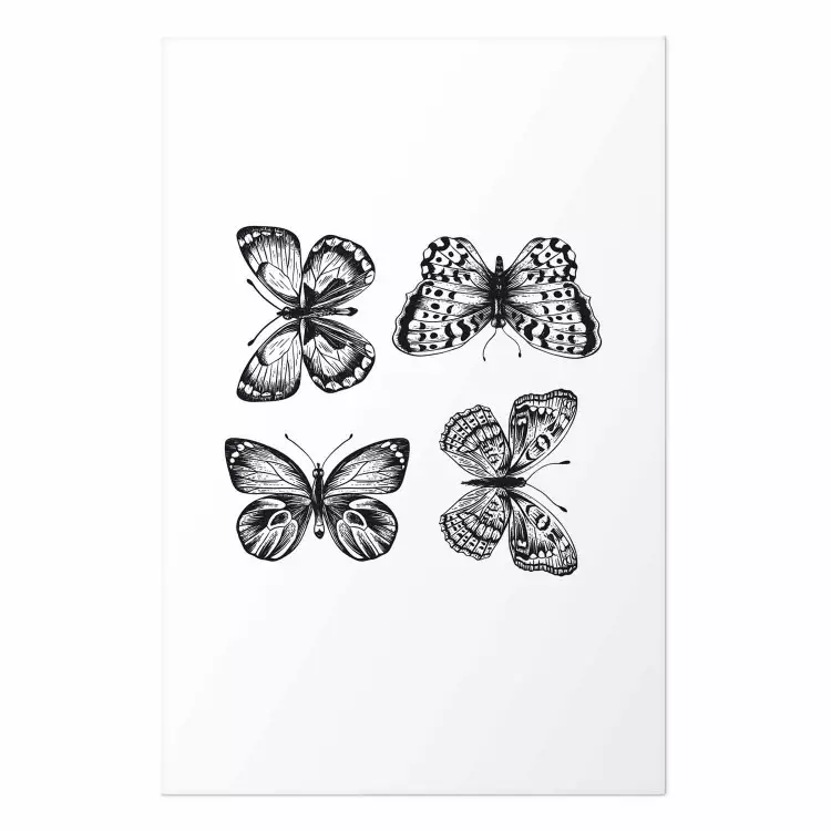 Cartel Four Butterflies [Poster]