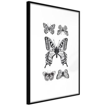 Cinco mariposas - composición blanco y negro insectos alados