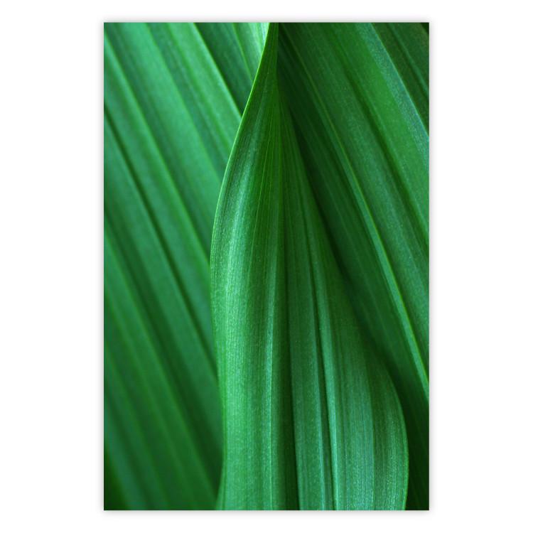 Trama de hoja - composición con motivo vegetal verde