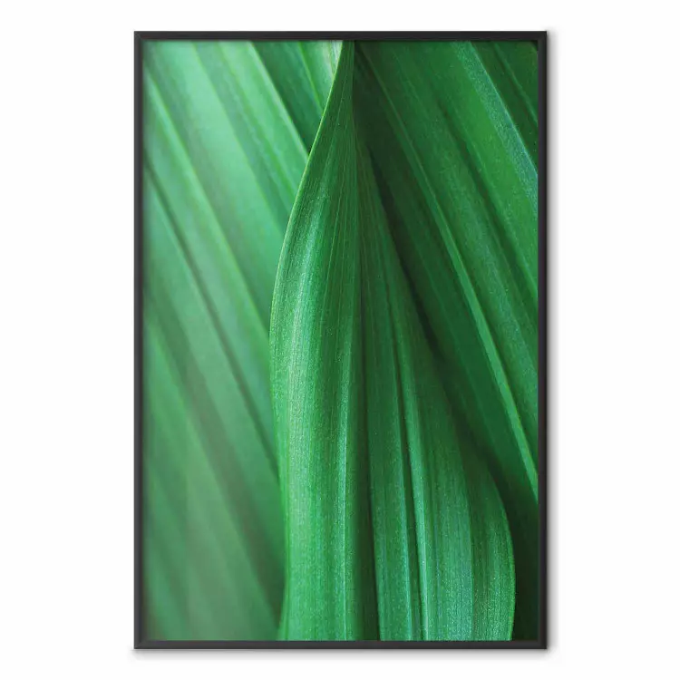 Trama de hoja - composición con motivo vegetal verde