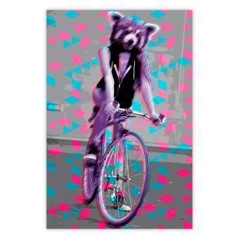 Póster Raccoon On The Bike [Poster]