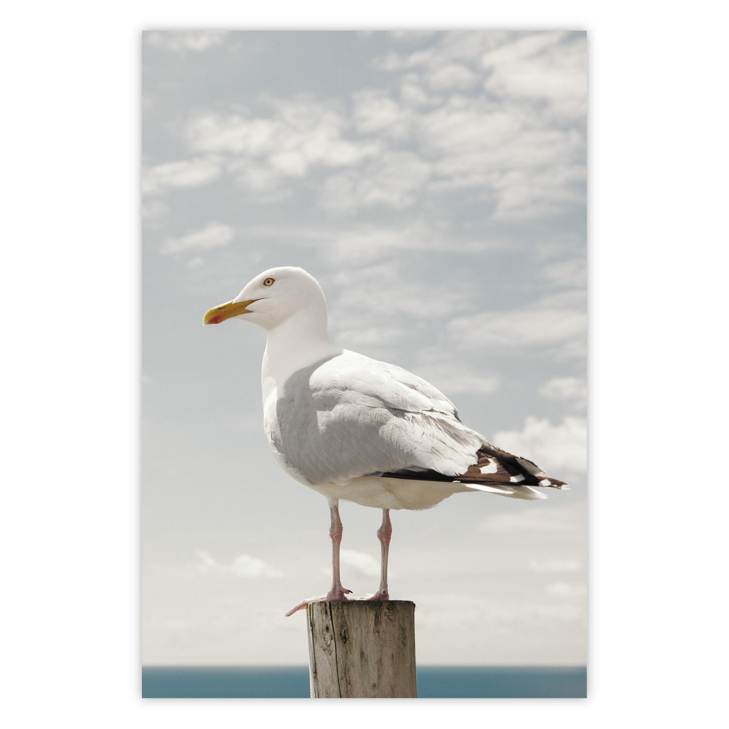 Póster Seagull [Poster]