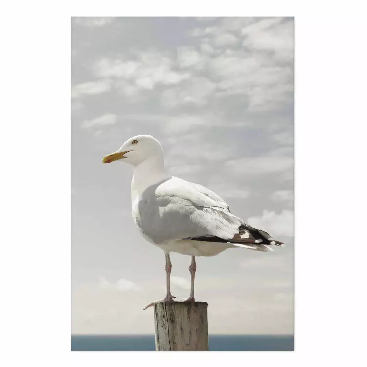 Póster Seagull [Poster]