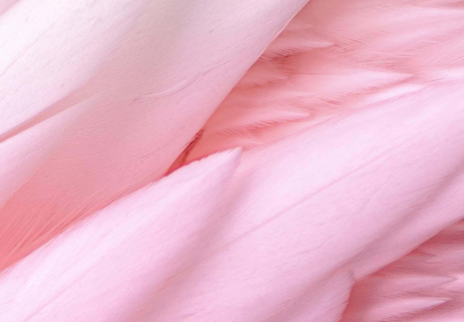 Cuadro moderno Plumas rosadas - la delicadeza y sutileza de la naturaleza de las aves