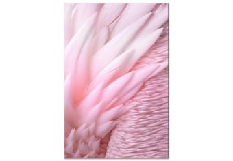 Cuadro moderno Plumas rosadas - la delicadeza y sutileza de la naturaleza de las aves