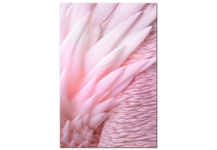 Plumas rosadas - la delicadeza y sutileza de la naturaleza de las aves
