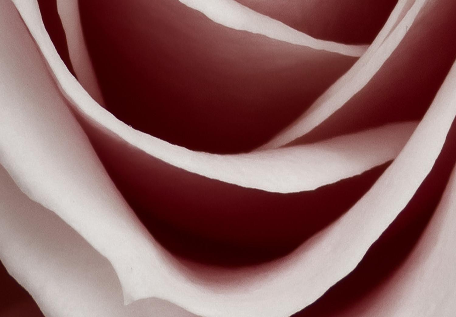 Poster Pastel Rose [Poster]