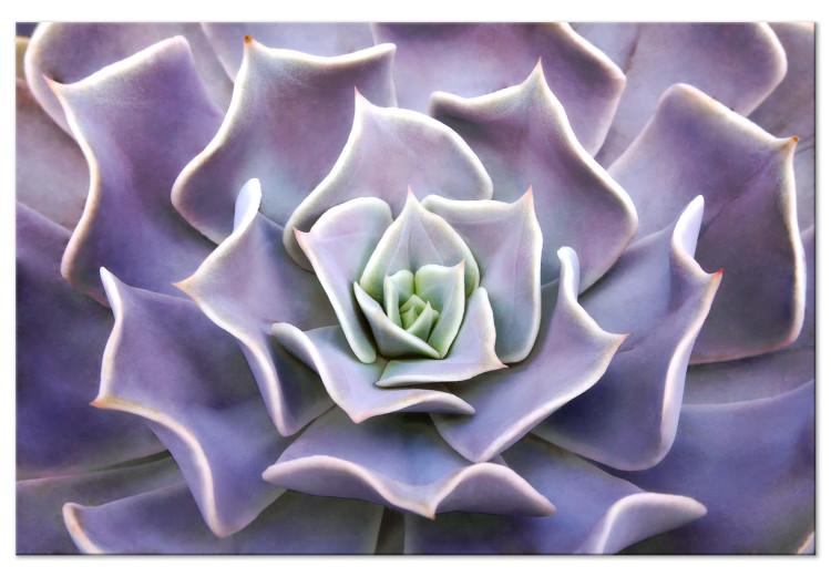 Cuadro en lienzo Florece violeta (1 pieza) - cactus en tonos sutiles de morado
