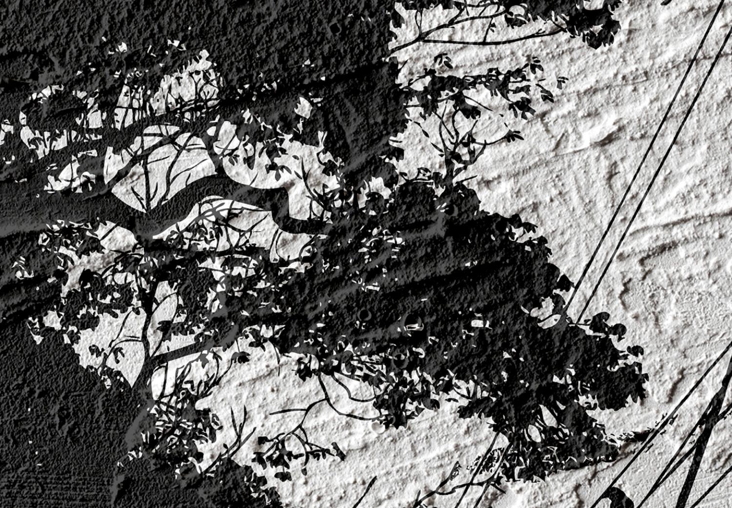 Cuadro decorativo Refugio aviar (1 pieza) - sombra de árbol en fondo blanco y negro