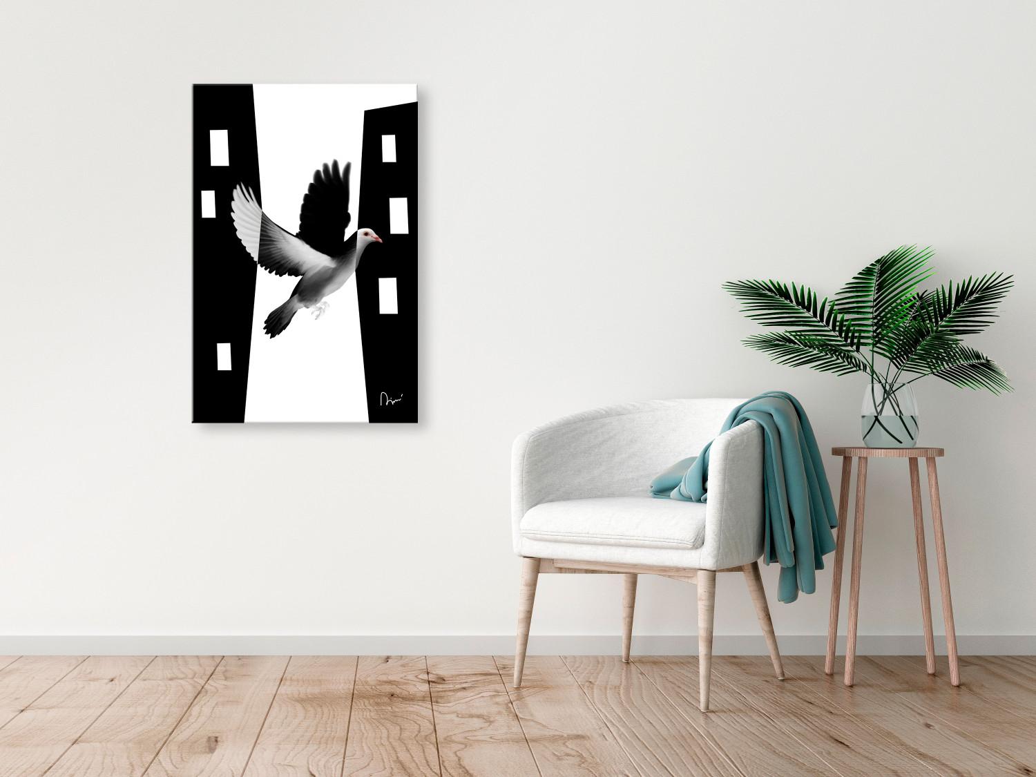 Cuadro decorativo Paloma urbana - ave que se integra en la ciudad en blanco y negro