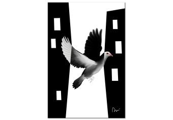 Cuadro decorativo Paloma urbana - ave que se integra en la ciudad en blanco y negro