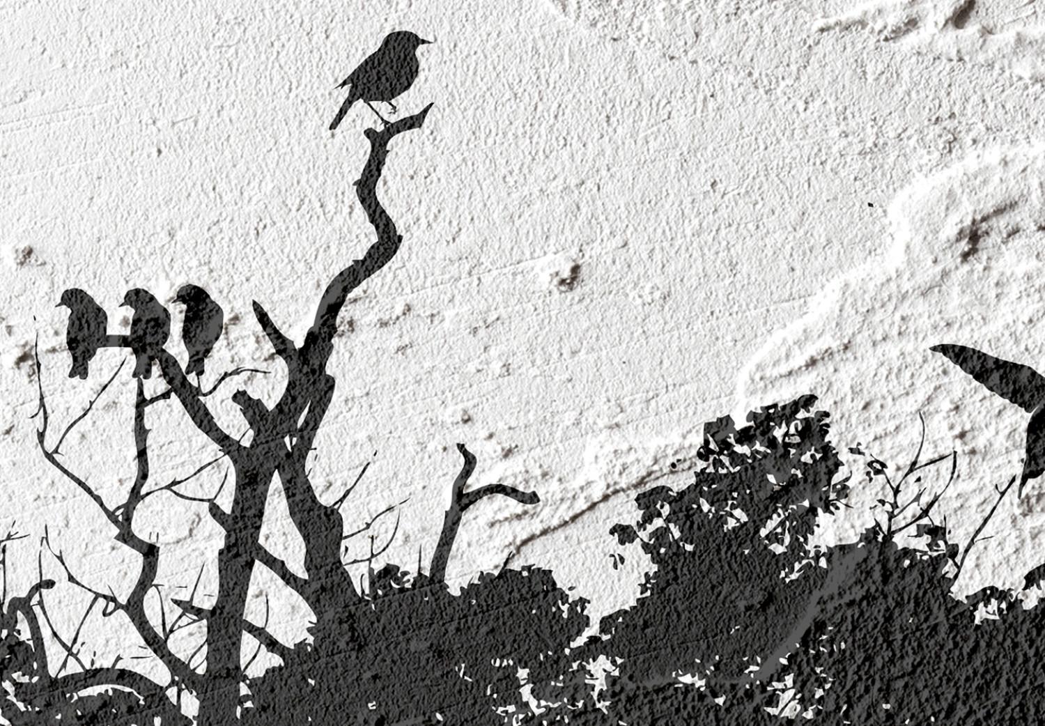 Poster Sombra de la naturaleza - paisaje en blanco y negro