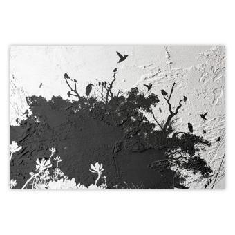 Poster Sombra de la naturaleza - paisaje en blanco y negro