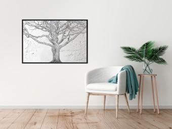 Viejo árbol - en blanco y negro con planta