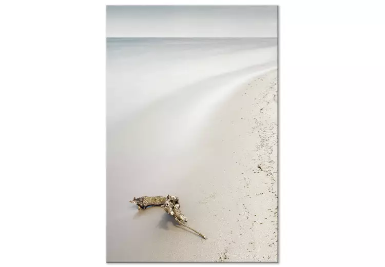 Costa escandinava - mar en calma y arena fina en la playa