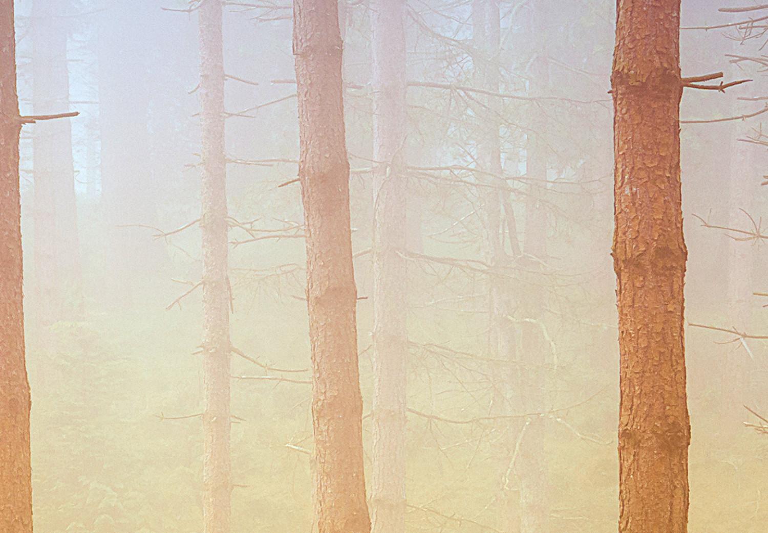 Póster Foggy Forest [Poster]