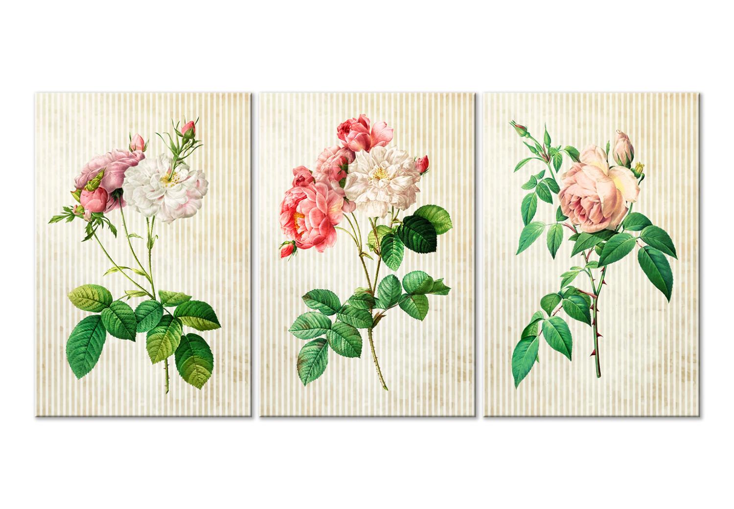 Cuadro Floral Trio (Collection)