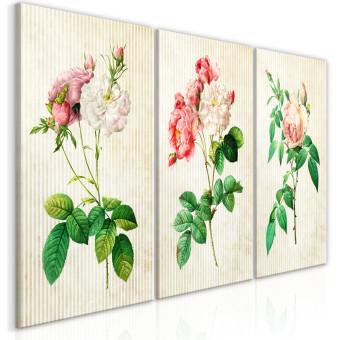 Cuadro Floral Trio (Collection)